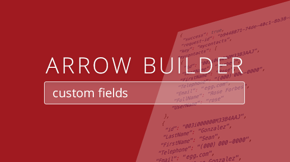 blog-572x320-arrow-builder-custom-fields-2